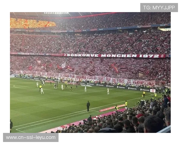 拜仁球迷南看台烟火表演，比赛一度暂停处理