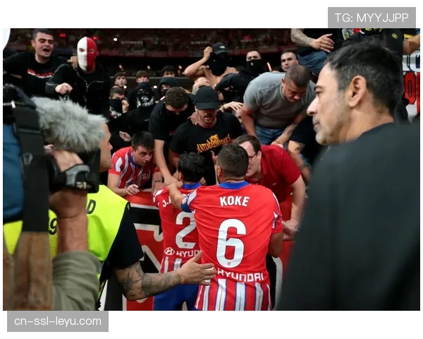 德甲裁判委员会宣布将对近期频发的球迷投掷杂物事件进行严惩